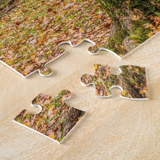 Puzzle Historic Alley (Côté)