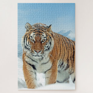 Puzzle Hiver Montagnes à neige Tigre animal photo