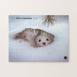 Puzzle Hiver - Weasel à queue courte