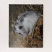 Puzzle Hiver White Nwarster Hamster Pet (Vertical)