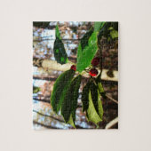 Puzzle Holly Leaves (Vertical)