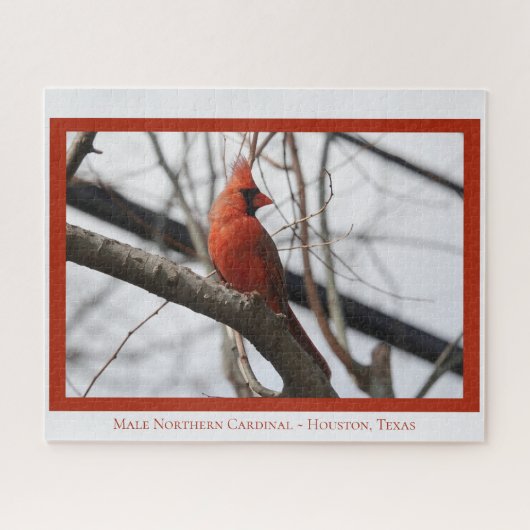 Puzzle Homme Cardinal du Nord; Oiseau Lover (Horizontal)