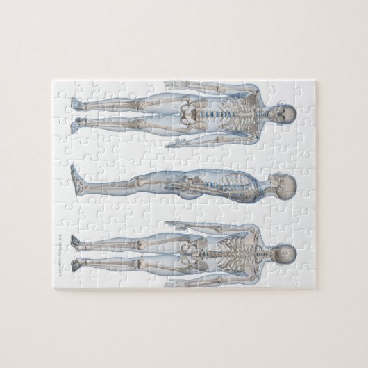 Puzzle Homme Skeleton 2 (Horizontal)