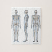 Puzzle Homme Skeleton 2 (Vertical)