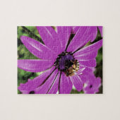 Puzzle Honey Bee Sur Un Daisy Africain Violet (Horizontal)