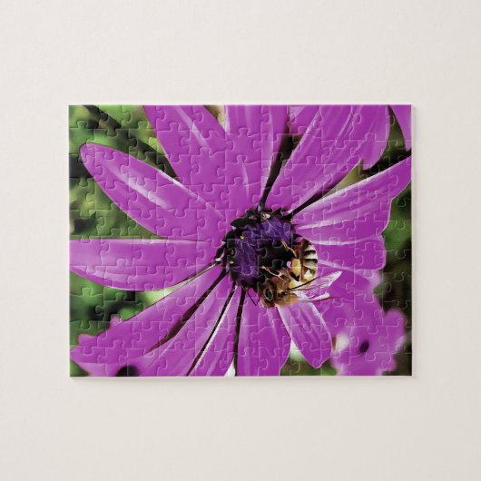 Puzzle Honey Bee Sur Un Daisy Africain Violet (Horizontal)