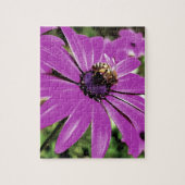 Puzzle Honey Bee Sur Un Daisy Africain Violet (Vertical)