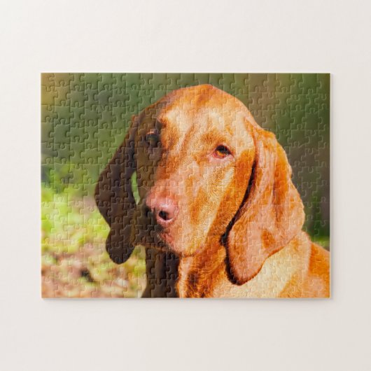 Puzzle Hongrois Vizla Chien Jigsaws. (Horizontal)