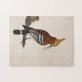 Puzzle Hoopoe commun | William Lewin (Horizontal)