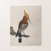 Puzzle Hoopoe commun | William Lewin (Vertical)