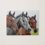 Puzzle Horaires Ferme Animaux Nature<br><div class="desc">Ce puzzle sur le thème de la nature présente trois chevaux dans un pâturage regardant la caméra #cheval #chevaux #animaux #ferme #vie agricole #nature #paysage #extérieur #paysage #paysage #puzzle #puzzle #jigsawpuzzle #cadeaux #cadeau #fun #stockingstuffers #jeux</div>