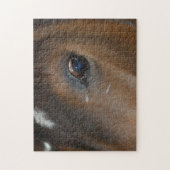 Puzzle Horse Love Closeup (Vertical)