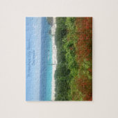 Puzzle Horseshoe Bay Beach (Vertical)