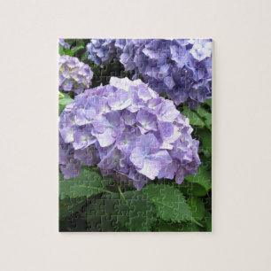 Puzzle Hortensias aux jardins de Trebah, les Cornouailles