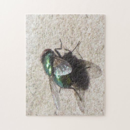 Puzzle - House Fly (Vertical)