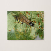 Puzzle Hoverfly (Horizontal)