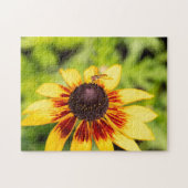 Puzzle Hoverfly sur Rudbeckia (Horizontal)