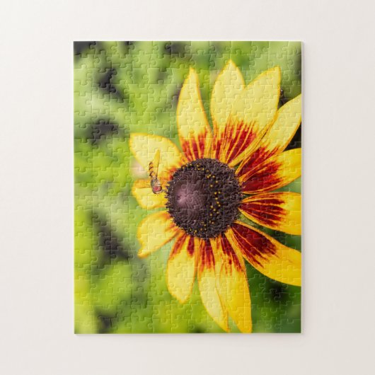 Puzzle Hoverfly sur Rudbeckia (Vertical)