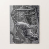 Puzzle Howling Coyote dans le paysage désertique (Vertical)