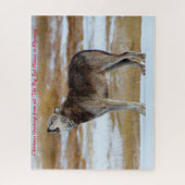 Puzzle Howling Wolves.voeux de Noël (Vertical)