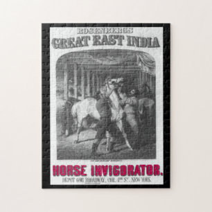 Puzzle Huile de serpent et vieilles annonces 11 Jigsaw Pu