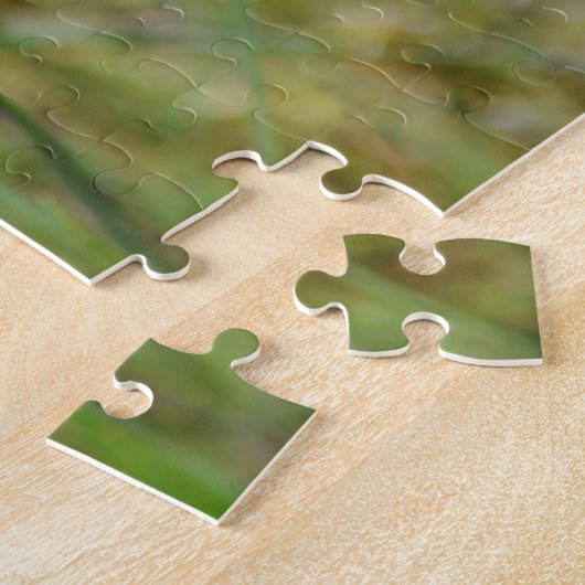 Puzzle Hummingbird Moth on Indian Paintbrush Fleur sauvag (Côté)