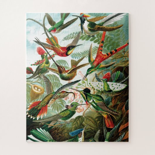 Puzzle Hummingbirds par Ernst Haeckel (Vertical)