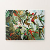 Puzzle Hummingbirds par Ernst Haeckel (Horizontal)