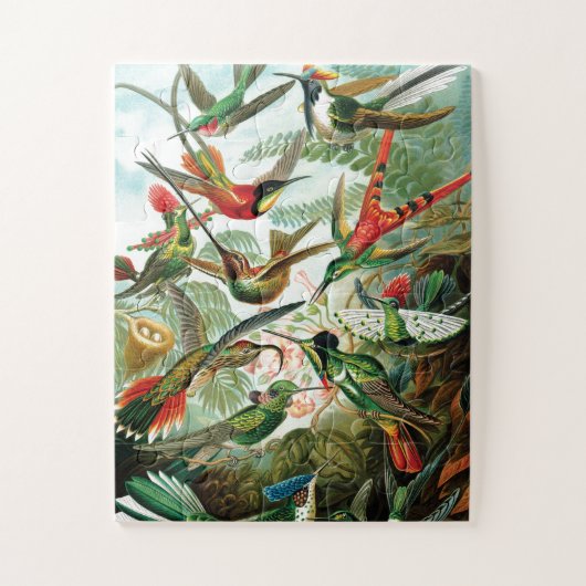 Puzzle Hummingbirds par Ernst Haeckel (Vertical)