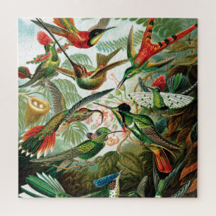 Puzzle Hummingbirds par Ernst Haeckel