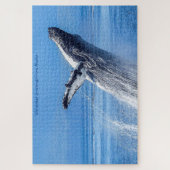 Puzzle Humpback Baleine Alaska (Vertical)