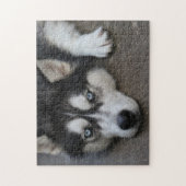 Puzzle Huskey Blue Eyes (Vertical)