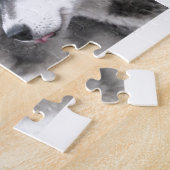 Puzzle Huskies de Sibérie (Côté)