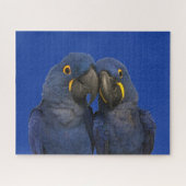 Puzzle Hyacinth Macaw (Horizontal)