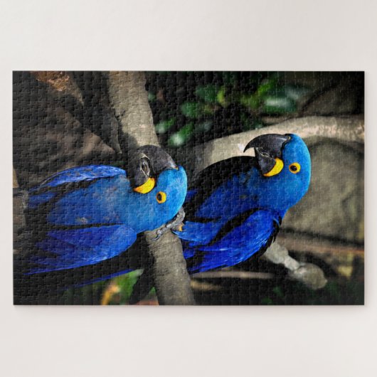 Puzzle Hyacinth Macaws Anodorhynchus (Horizontal)