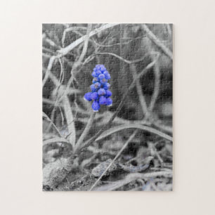Puzzle Hyacinthe au raisin solitaire Sélectionnez Couleur