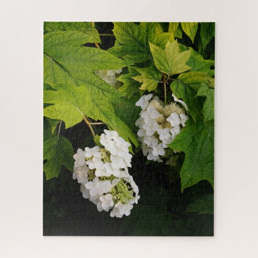 Puzzle Hydrangea à feuilles de chêne (Vertical)