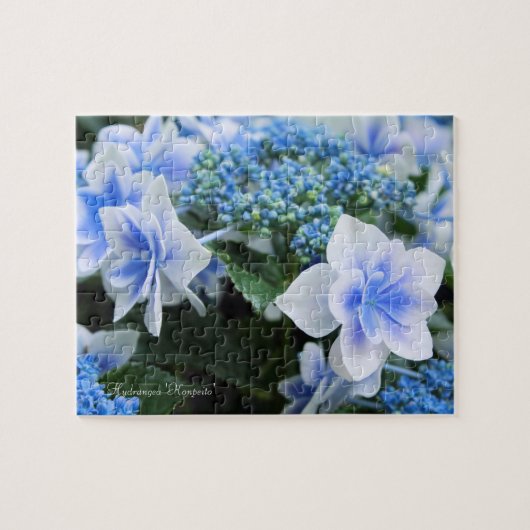 Puzzle Hydrangea 'Konpeito' [Puzzle : 110P] (Horizontal)