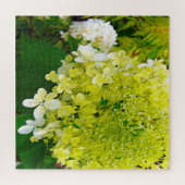 Puzzle Hydrangea Limelight Vert Chartreuse Élégant (Horizontal)