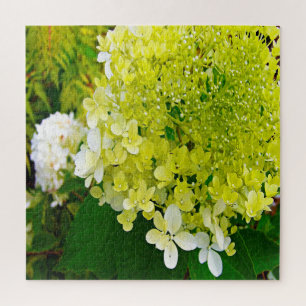 Puzzle Hydrangea Limelight Vert Chartreuse Élégant