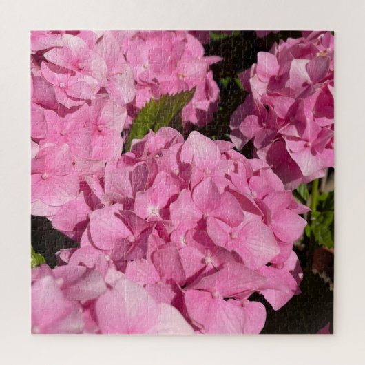 Puzzle Hydrangea rose (Vertical)