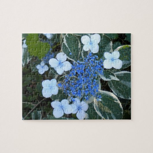 Puzzle Hydrangée Bleue Variée (Horizontal)