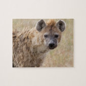 Puzzle Hyena (Horizontal)