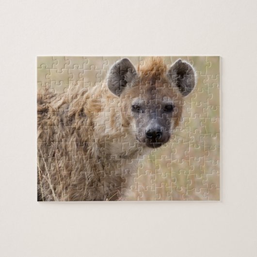 Puzzle Hyena (Horizontal)