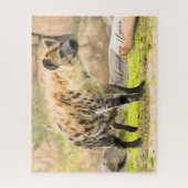 Puzzle Hyena (Vertical)