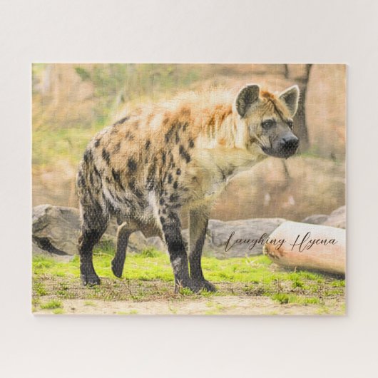 Puzzle Hyena (Horizontal)