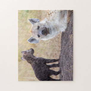 Puzzle Hyena avec jeune