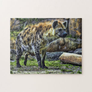 Puzzle hyène riante [Puzzle de Jigsaw : 252P]