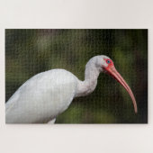 Puzzle Ibis blanc (Horizontal)