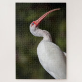 Puzzle Ibis blanc (Vertical)